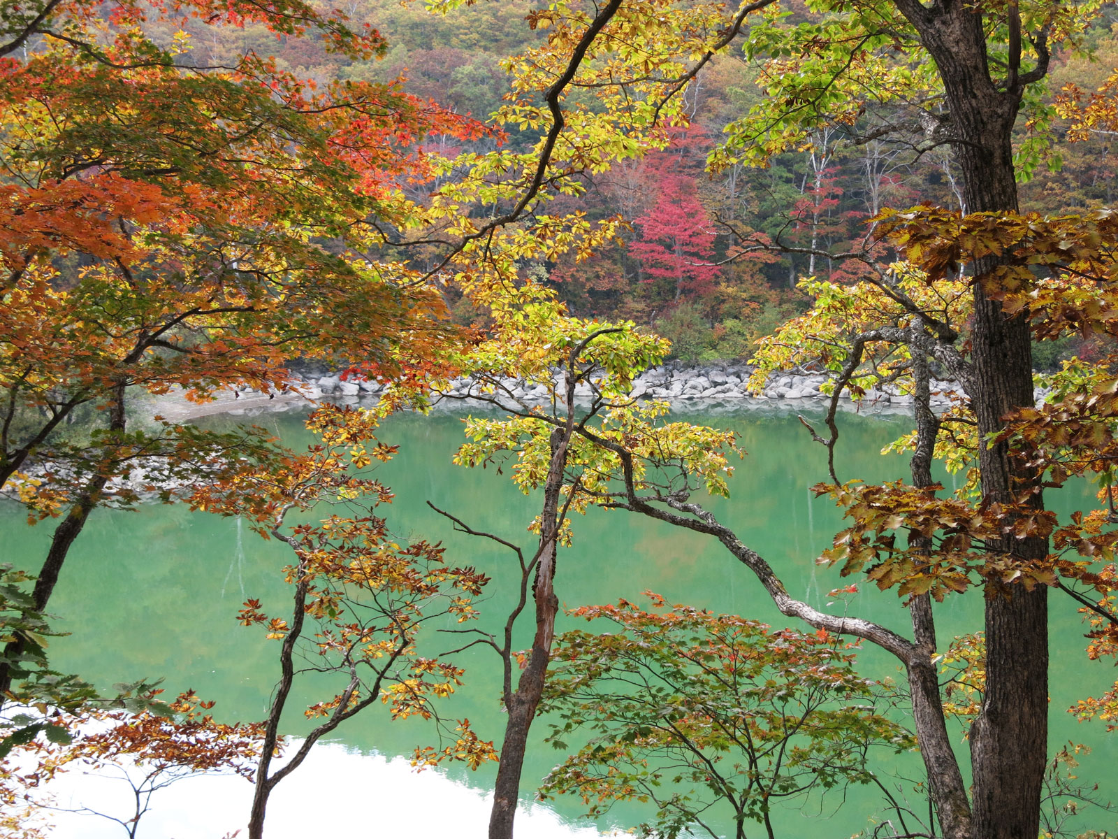 全山紅葉の志賀高原 安曇野ライク ブログ