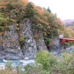 前倉橋は景勝地の一つで、渓流にそそり立った断崖が目を引きます