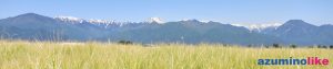 2017/5/29 安曇野、麦穂の先に山：山を背にタワワとなった麦穂は初夏を感じさせます。