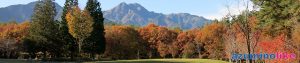 2017/11/7【国営アルプスあづみの公園の紅葉】紅葉はピークを過ぎましたが、まだまだ見ごたえがあり森と山と渓流のせせらぎに癒された１日でした。