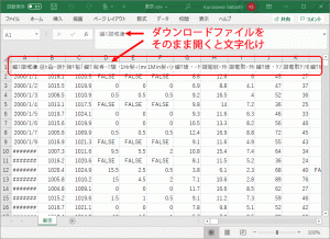 （15）ダウンロードしたcsv ファイルを直接読み出すと、通常、日本語が文字化けします。