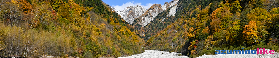 2020/10/26【高瀬ダムの奥の紅葉】吊り橋から見た紅葉の谷の先は初冠雪を終えた船窪岳(標高2,459m）のようです。