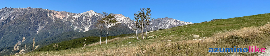 2021/10/3【 岩岳からの白馬三山】ススキの斜面の先には白馬３山、このクリアさはなかなか出会えない風景です。